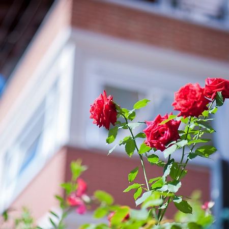 B&B Il Pettirosso Malonno Esterno foto