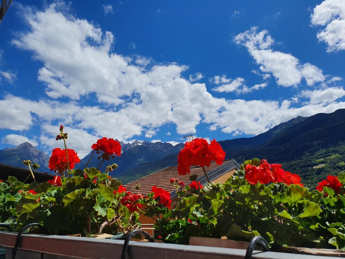 B&B Il Pettirosso Malonno Esterno foto