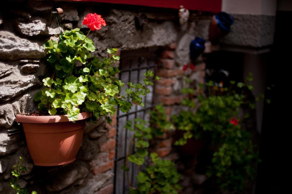 B&B Il Pettirosso Malonno Esterno foto